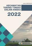 Tebing Tinggi Subdistrict in Figures 2022