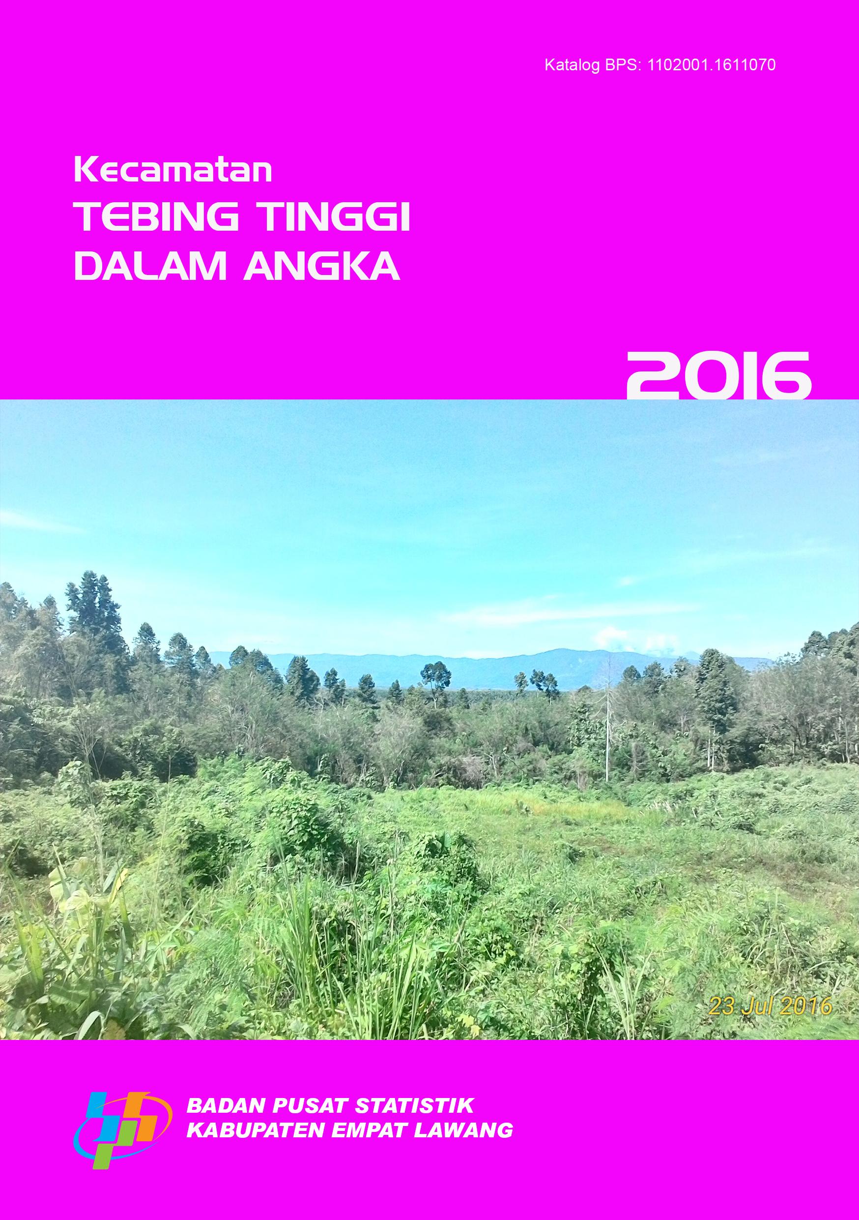 Tebing Tinggi Subdistricts in Figures 2016