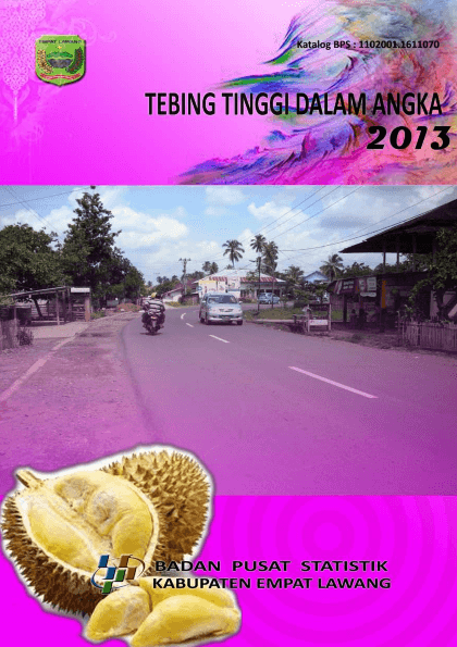 Tebing Tinggi In Figures 2013