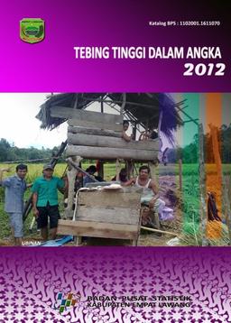 Tebing Tinggi In Figures 2012