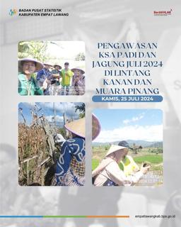 Pengawasan KSA padi dan jagung juli 2024 di lintang kanan dan muara pinang