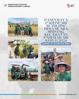 Grand Harvest of Inpari Nutri Zinc Rice, Muara Sindang Village, Pasemah Air Keruh District 2024